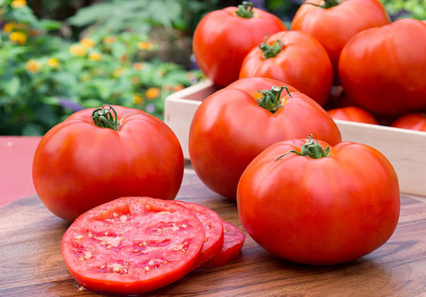 After Sallah, tomatoes, pepper prices remain high as North groans