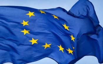 17742972841922188643572016423767