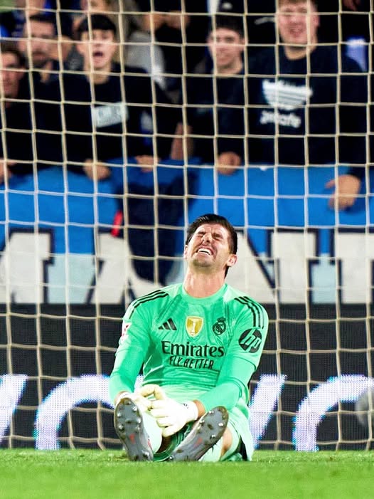 565768142 1465823844673790 4356117328290231645 n