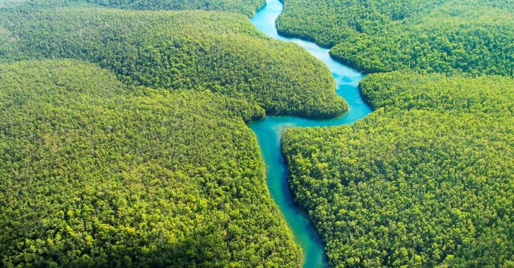 Nature Under Pressure: Major Conservation Moves Unfold Worldwide. 1 image