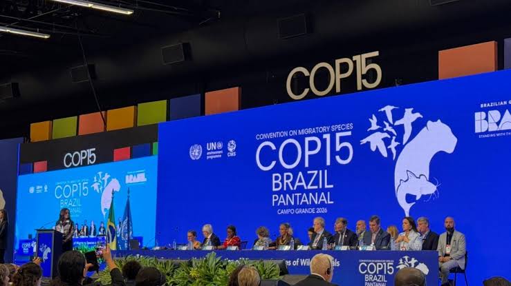 Nature Under Pressure: Major Conservation Moves Unfold Worldwide. 3 image 2