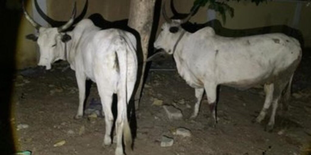 sr file 2026 03 16T144227.097