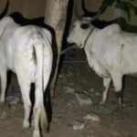 sr file 2026 03 16T144227.097