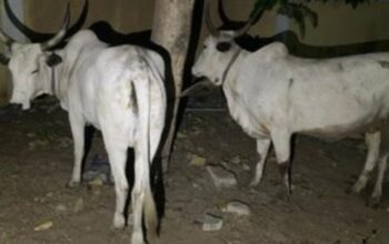 sr file 2026 03 16T144227.097