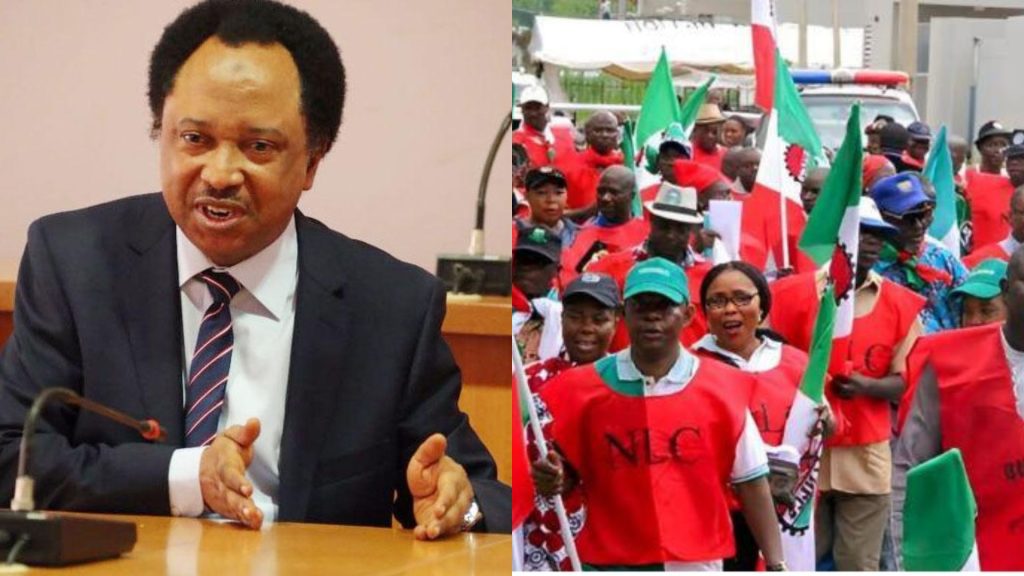 Minimum Wage: Shehu Sani on Potential Impact if FG Agrees to 400k Pay 1 Minimum Wage: Shehu Sani on Potential Impact if FG Agrees to 400k Pay