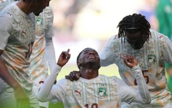 17747166226691289877958589318100