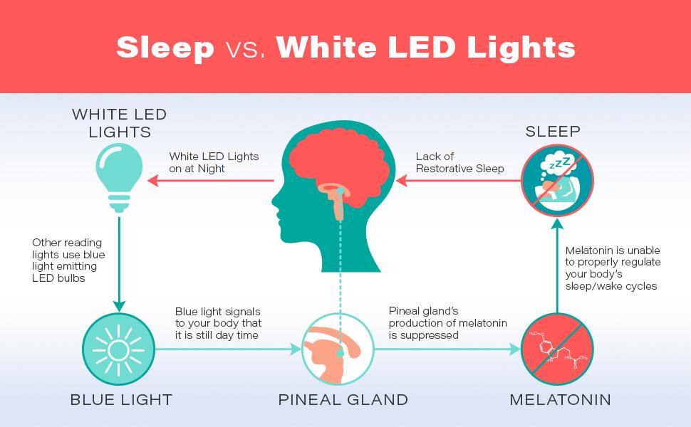 The Smartphone Epidemic: 10 Ways Your Phone Is Slowly Harming Your Body and Mind 3 image 98