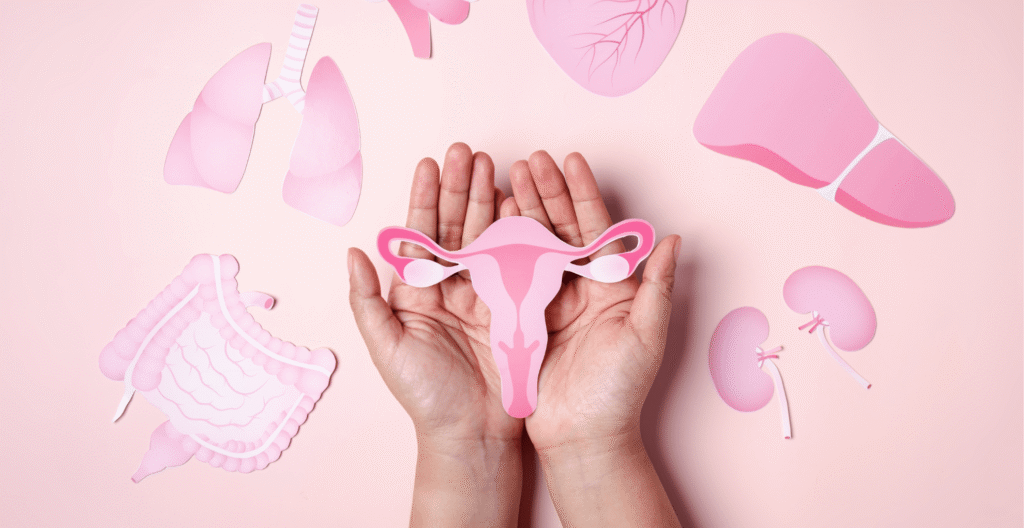 PCOS Renamed PMOS: A New Era in Understanding Women’s Hormonal Health 1 IMG 2850 1
