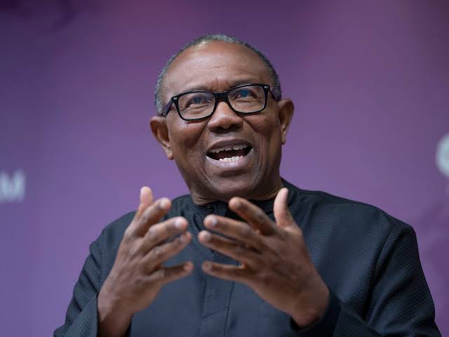 ‘Poor Leadership’: Peter Obi Criticizes Tinubu’s Approval of 1,000 Forest Guards for Oyo State 1 image 52