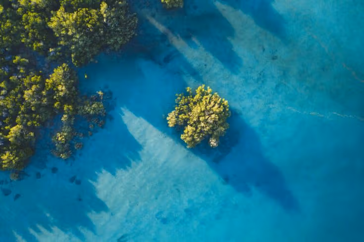 The Ocean Regulates the Earth's Climate